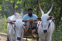 రైతన్నలకు గుడ్ న్యూస్.. పీఎం కిసాన్ ఈకేవైసీ గడువు పెంపు.. ప్రకియను ఇలా పూర్తిచేయండి..