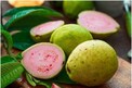 Guava Price in AP: యాపిల్ తో పోటీపడుతున్న జామకాయ.. ఒక్కసారి పంటవేస్తే అంత లాభమా..?