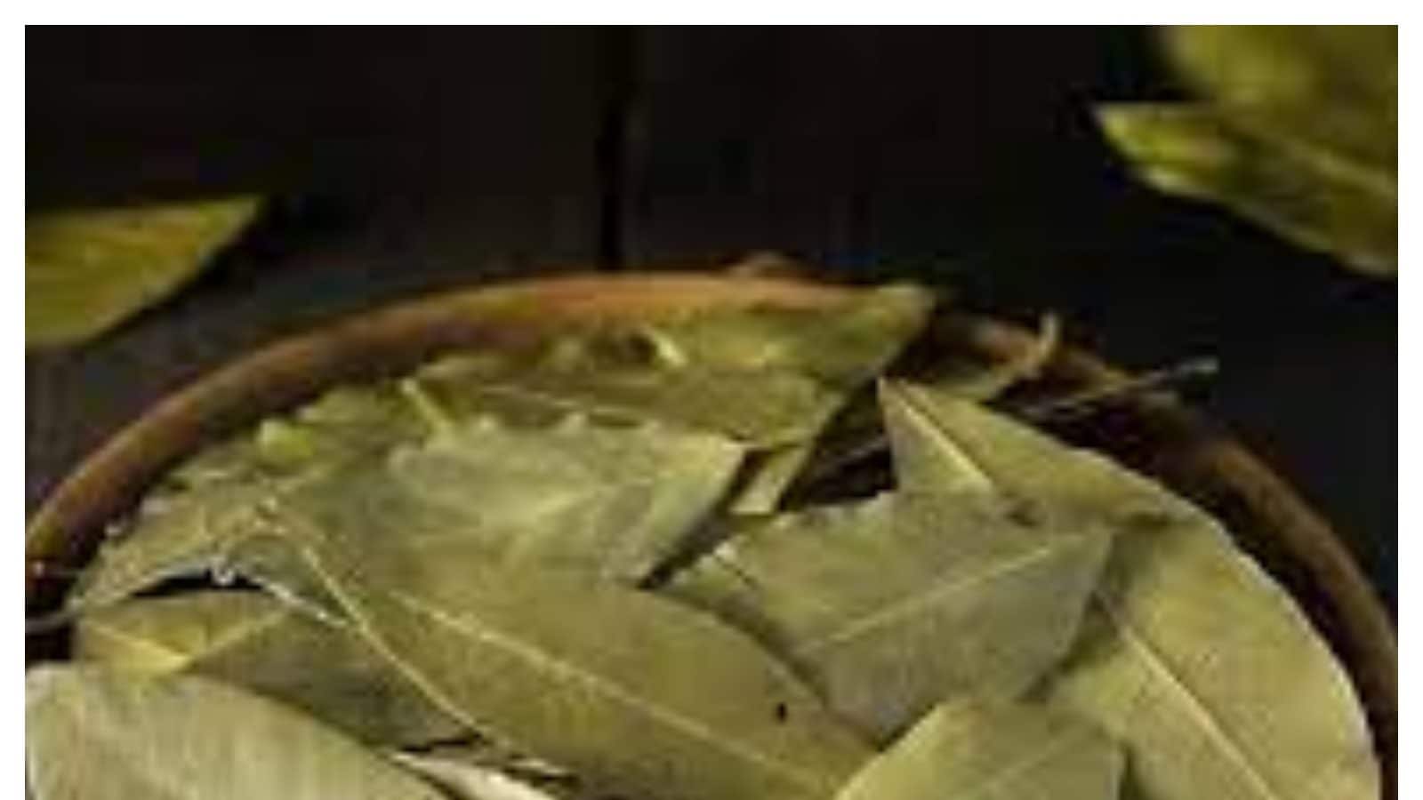 Bay Leaf Benefits ఈ ఒక్క ఆకుతో మీ జీవితంలో అనుకోని అద్భుతాలు చూస్తారట