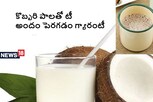Coconut Milk Tea: కొబ్బరి పాలతో కమ్మని టీ.. వయసు తగ్గి.. అందం పెరగడం గ్యారంటీ