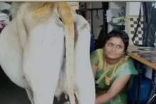 Viral Video: వరలక్ష్మీ వ్రతం మహత్యమా..? గడప ముందుకే వచ్చి పిండకుండానే పాలిస్తున్న గోమాత..