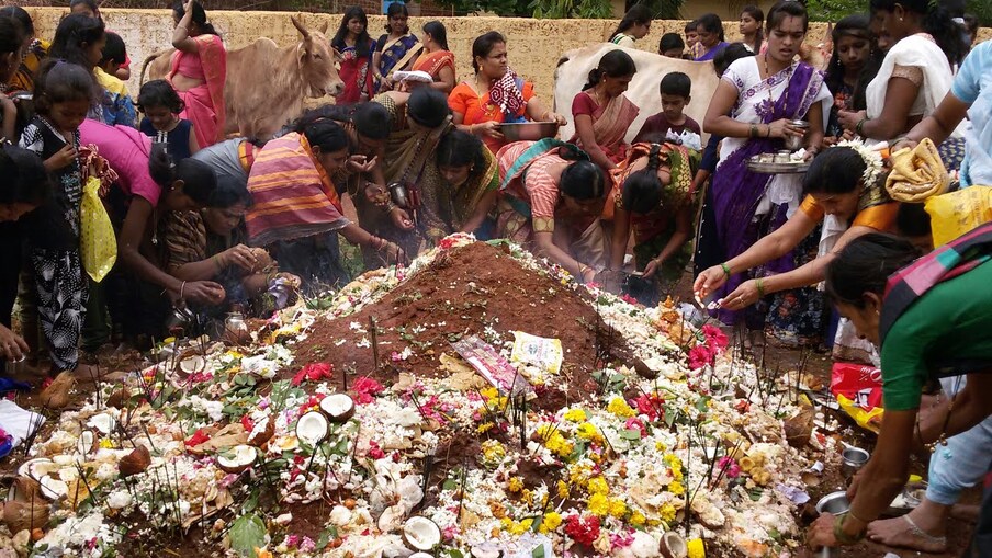  నాగ పంచమి రోజున ప్రధానంగా కొన్ని నియమాలు పాటించాలి. అవేంటంటే.. నాగుల చవితి రోజున కత్తిపీట తో కట్ చేసే కాయకూరలు వండరాదు. దీనికి బదులుగా గోరు చిక్కుడుకాయను ఉపయోగించవచ్చు. అంతే కాకుండా.. తాలింపులు కూడా వేయడం నిశేధం. ఆవాలు, జిలకర్రను వినియోగించరాదు.
