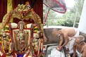 Tirumala: శ్రీవారి ఆలయంలో వైభవంగా పవిత్రాల సమర్పణ.. పాదాల చెంత వేడుకగా ఛత్రస్థాపనోత్సవం