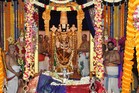 TTD: ఘనంగా వెంకటేశ్వర స్వామి వైభవోత్సవం.. పంచగవ్య ఉత్పత్తులకు భారీ డిమాండ్
