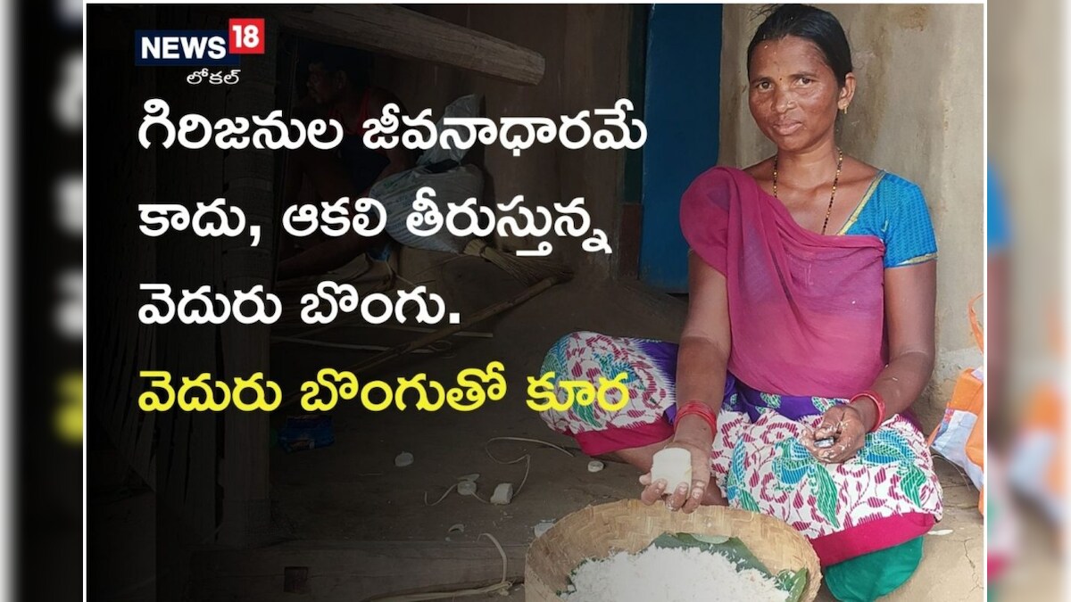 Bamboo Benefits గిరిజనులకు జీవనాధారమే కాదు.. ఆకలి తీరుస్తున్న వెదురు బొంగు.. ఎలాగో తెలుసా