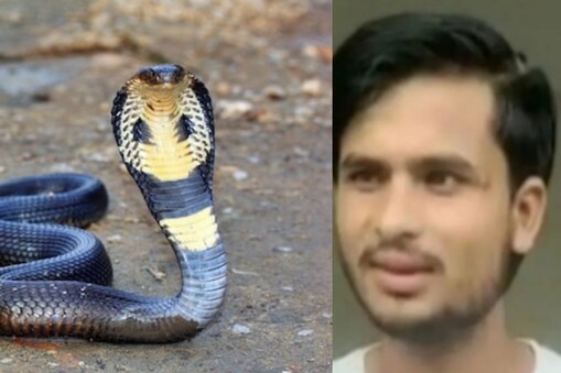 Snake bite 5 times  : పాము పగబడితే జన్మజన్మలకు అది తొలగిపోదని నమ్ముతుంటారు.  తాజాగా ఉత్తరప్రదేశ్‌(UttarPradesh)లోని అగ్రా జిల్లాలో ఇలాంటి సంఘటన చోటుచేసుకుంది.