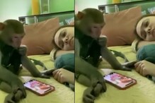 Monkey : స్మార్ట్ ఫోన్ కు బానిసైన కోతి..ఫోన్ లేనిదే ఫుడ్ ముట్టట్లేదు Monkey : స్మార్ట్ ఫోన్ కు బానిసైన కోతి..ఫోన్ లేనిదే ఫుడ్ ముట్టట్లేదు