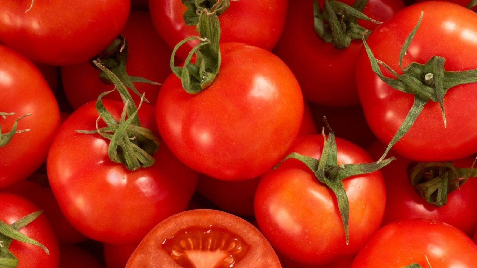 good bacteria called gut biome in the stomach play a vital role in