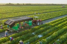Farming: కూరగాయ పంటలతో ఇన్ని లాభాలా..? వేటిపై పెట్టుబడి పెట్టొచ్చంటే..?