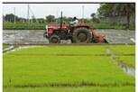 దేశవాళీ వారి వంగడాల సాగుతో.. యువరైతు అద్భుతాలు.. !