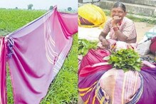 కూరగాయల మూటలు, చేనుకు పరదాలుగా మారిన బతుకమ్మ చీరలు ..ఎక్కడ జరిగిదంటే..?