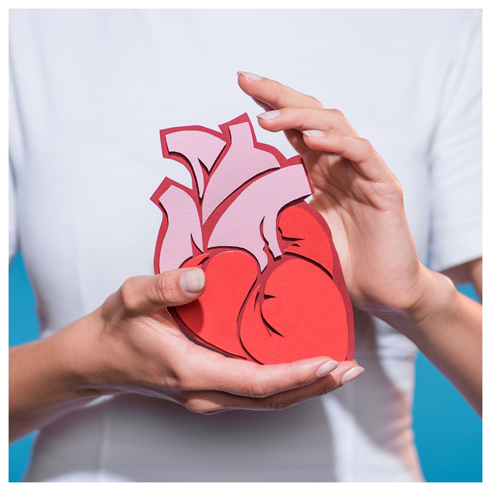 Коронарное шунтирование сосудов сердца. Презентация на тему сердце. Сердечно сосудистая патология. Сердце пропитанным. Сердце пропитанным.