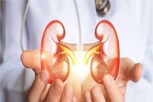 Kidney Stones: కిడ్నీల్లో రాళ్లు ఉన్నాయనే డౌట్ ఉందా ?.. ఈ సంకేతాలను తేలిగ్గా తీసుకోవద్దు