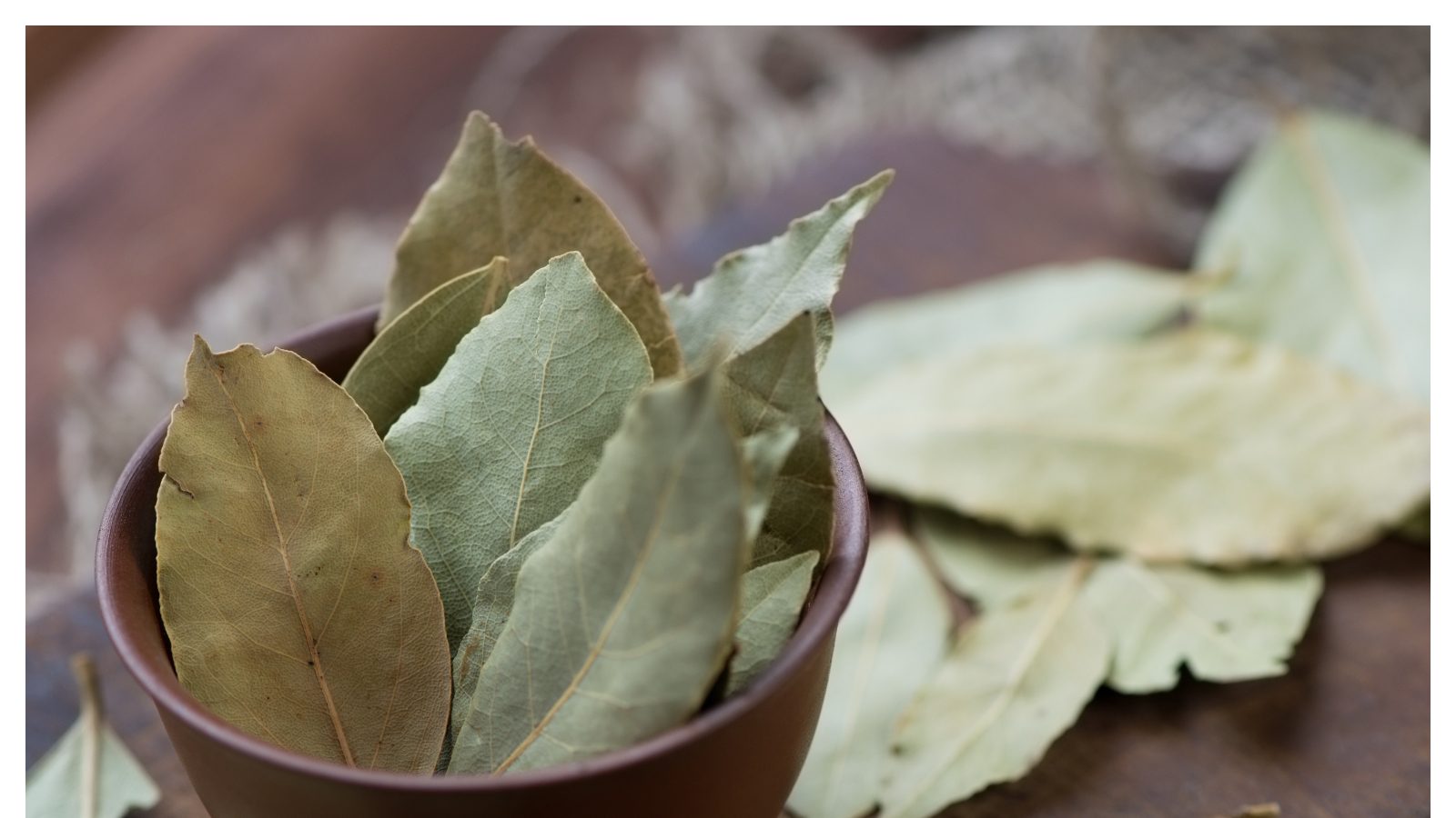 Bayleaf Benefits బిర్యానీ ఆకుల వల్ల కలిగే ఈ 5 ప్రయోజనాల గురించి మీకు తెలుసా?/5 health benefits
