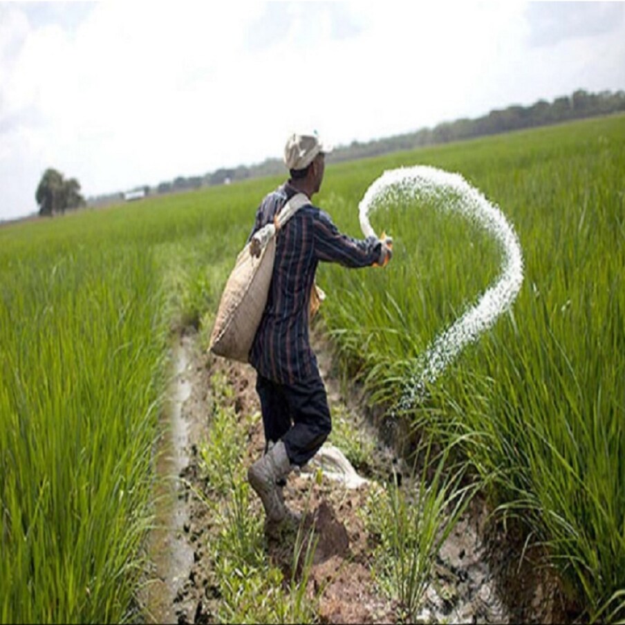  PM Kisan Maan Dhan | కేంద్ర ప్రభుత్వం రైతులకు పలు రకాల స్కీమ్స్ అందిస్తోంది. పీఎం కిసాన్ దగ్గరి నుంచి వడ్డీ రాయితీ వరకు పలు రకాల పథకాలను అమలు చేస్తోంది. వీటిల్లో చేరడం వల్ల అన్నదాతలకు చాలా ప్రయోజనం కలుగుతుందని చెప్పుకోవచ్చు. ఏ ఏ స్కీమ్‌తో ఎలాంటి బెనిఫిట్ పొందొచ్చొ ఒకసారి తెలుసుకుందాం.