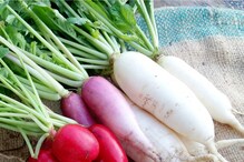 winter Vegetables: చలికాలంలో తప్పక తినాల్సిన కూరగాయల్లో ఇది ఒకటి.. ప్రయోనాలు ఎన్నో తెలుసా.