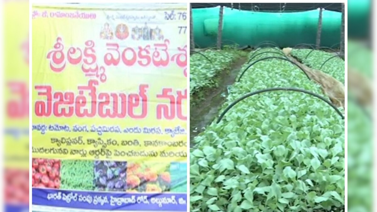 Karimnagar రూ.90వేల పెట్టుబడితో నెలకు లక్ష ఆదాయం.. కూరగాయల నర్సరీతో