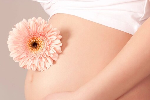 Pregnancy: ప్రెగ్నెన్సీ సమయంలో మహిళలపై ఒబెసిటీ ప్రభావం.. తీసుకోవాల్సిన జాగ్రత్తలివే..