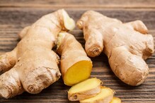 Ginger peel: అల్లం తొక్క కూడా వ్యర్థం కాదు.. దీన్ని ఎన్నో విధాలుగా ఉపయోగించవచ్చు...