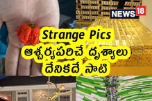 Strange Pics : ఆశ్చర్యపరిచే దృశ్యాలు.. దేనికదే సాటి.. చూడండి ఒక్కొక్కటి..