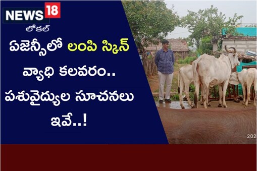 ములుగు