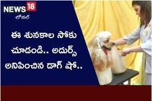 Vizag: ఈ శునకాల సోకు చూడండి... అదుర్స్ అనిపించిన డాగ్ షో
