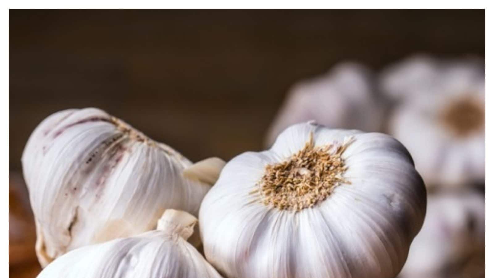 Garlic health benefits ఉదయాన్నే గోరువెచ్చని నీటితో 2 వెల్లుల్లి