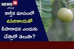 కార్తీక మాసంలో ఉసిరికాయతో దీపారాధన ఎందుకు చేస్తారో తెలుసా..?