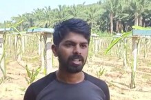 Bhadradri Kothagudem: సాఫ్ట్ వేర్ కొలువు వదిలి డ్రాగన్ ఫ్రూట్ సాగు.. యువరైతు అనుభవాలు ఇవే