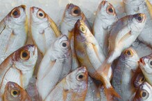 Winter Food : చలికాలంలో చేపలు ఎక్కువగా తినాలి.. ఎందుకో తెలుసా?