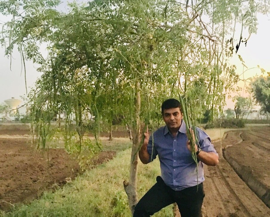  విదేశాల్లో వ్యాపారం మానేసి.. గుజరాత్.. బనస్కాంత జిల్లాలో సేంద్రియ వ్యవసాయం ప్రారంభించాడు ఓ స్థానిక యువకుడు. ఇప్పుడు అతని వ్యవసాయంపై విదేశాల్లో కూడా ప్రశంసలు వెల్లువెత్తుతున్నాయి. ఏటా మంచి ఆదాయం వస్తోంది. విదేశాల్లో వ్యాపారాన్ని వదిలేసి పుట్టిన భూమిలో ఇలా ఎందుకు వ్యవసాయం చేస్తున్నాడో తెలుసుకుందాం.