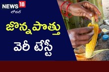 లంబసింగి మన్యంలో జొన్న పొత్తు వెరీ టేస్టీ