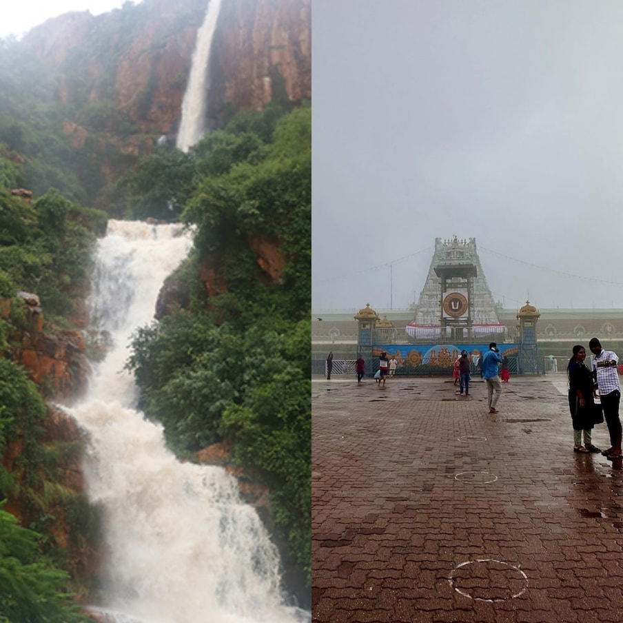  Beauty of Tirumala: ఇలా వైకుంఠంలో ఒక్కో రాయి వేదములే.. ఒక్కో అడుగు పవిత్రమే.. అందుకే వేదములే శిలలైనా తిరుమల కొండా అంటూ పదకవితా పితామహుడు అన్నయ్య కీర్తించారు. స్వామి వారి వైభవం తిరుమల కొండని చూస్తేనే ప్రతిభింబిస్తుంది. కొండంతా శ్రీవారి ఆకృతులే...? అందుకే ఆధ్యాత్మికత్వంతో పాటు.. ఆహ్లాదం మనసును కట్టిపడేస్తుంది. తాజాగా వర్షాలు.. మంచు తుంపరలతో తిరుమల అందం రెట్టింపు అయ్యింది.  