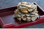 Feng Shui Frog : ఫెంగ్ షుయ్ ఫ్రాగ్ ని ఇంట్లో అక్కడ ఉంచితే..ఎలప్పుడూ ఆనందం,శ్రేయస్సు!