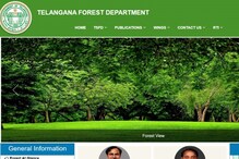 TSPSC Forest Jobs: నిరుద్యోగులకు అలర్ట్.. 1658 ఫారెస్ట్ ఉద్యోగాలు.. ఖాళీల వివరాలిలా..