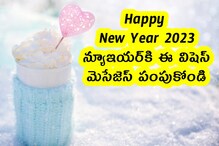 Happy New Year 2023 : న్యూఇయర్‌కి ఈ విషెస్, మెసేజెస్ పంపుకోండి