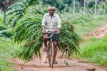 Agriculture Loan: రైతులకు ఏటా 4 శాతం వడ్డీకే రుణాలు... స్కీమ్ వివరాలివే