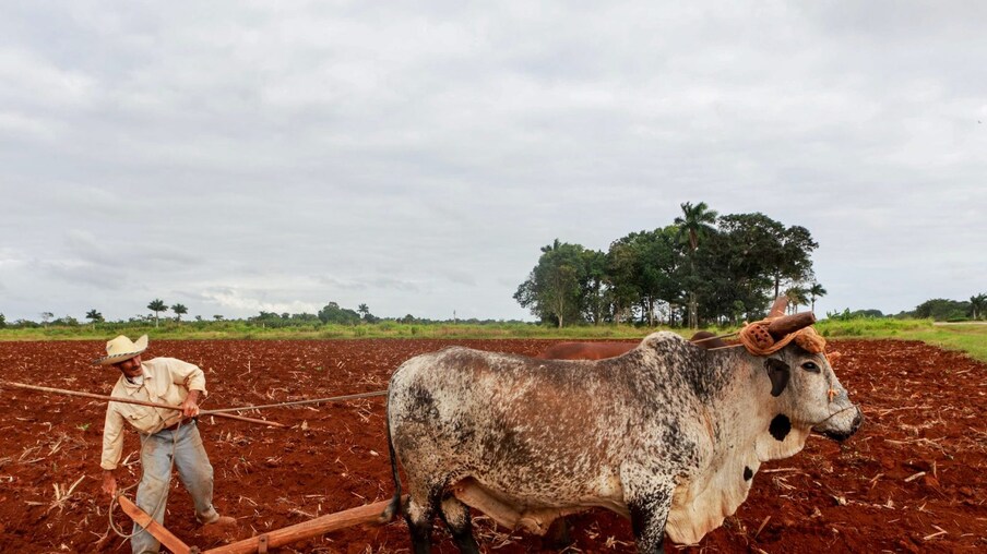 ప్రస్తుతం భూమి పరిస్థితి ఆందోళనకరంగా ఉంది. రోజూ లక్షల టన్నుల చెత్త భూమిపై పేరుకుపోతోంది. ప్లాస్టిక్ వాడకం భూమికి హానికరంగా మారింది. డ్రైనేజీ, మురుగు నీరంతా సముద్రాల్లో కలుస్తూ.. వాటిని కాలుష్యం చేస్తున్నాయి. అంతటా ఇదే పరిస్థితి. దీని వల్ల నేలలో సహజ సారం దెబ్బతింటోంది. పంటల దిగుబడి బాగా తగ్గింది. దిగుబడిని పెంచేందుకు ఎరువుల వాడకం విపరీతంగా పెరిగింది. దీని వల్ల భూమి సారహీనం అవుతోంది.