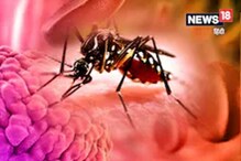 Zika Virus Case: మన పక్క రాష్ట్రంలో జికా వైరస్‌ కలకలం..ఈ వైరస్ లక్షణాలు, నివారణ చర్యలేంటి?