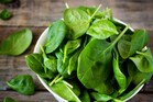 Health Tips: పాలకూరను ఎక్కువగా తింటున్న వారికి హెచ్చరిక.. ఈ ఇబ్బందులు రావచ్చు