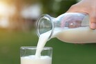 Milk Adulteration: పాల కల్తీకి చెక్ పెట్టే పరికరం.. కేవలం 30 సెకన్లలో తెలిసిపోతుంది..
