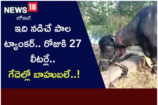 రోజుకి