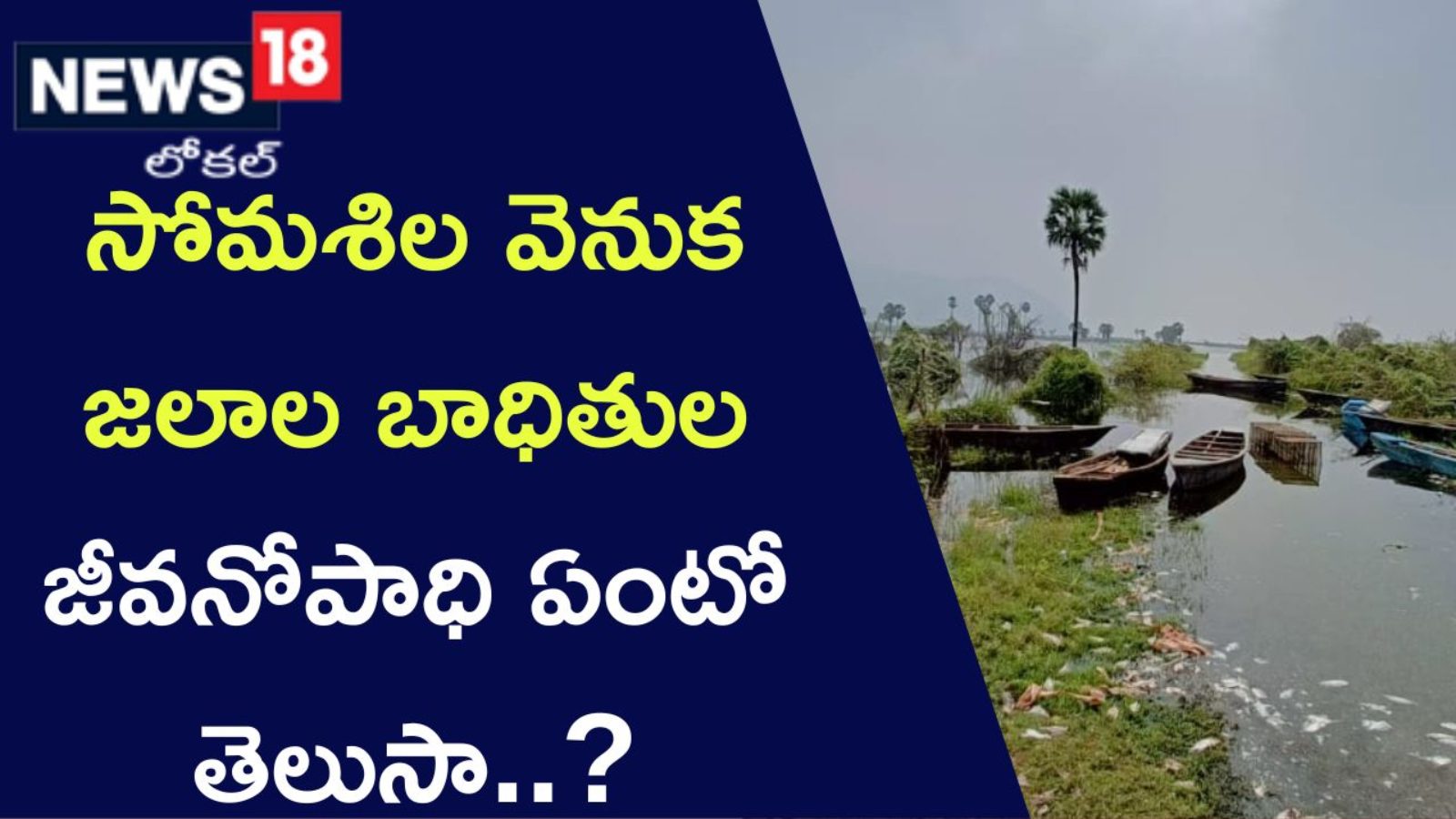 Do you know what is the livelihood of the victims of the waters behind