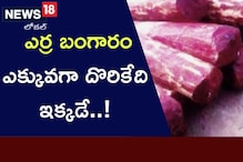 Kadapa: ఎర్ర బంగారం ఎక్కువగా దొరికేది ఇక్కడే..!