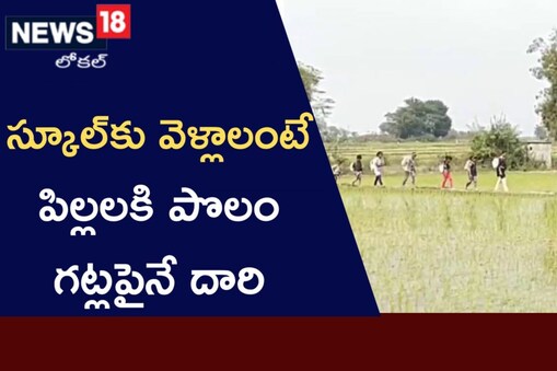 గట్లపై