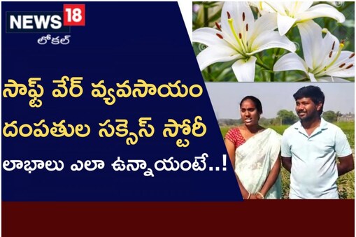 వ్యవసాయం