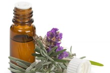 Hair care tips : ఈ చిట్కాలు పాటిస్తే స్ట్రాంగ్, సిల్కీ హెయిర్ మీ సొంతం! Hair care tips : ఈ చిట్కాలు పాటిస్తే స్ట్రాంగ్, సిల్కీ హెయిర్ మీ సొంతం!