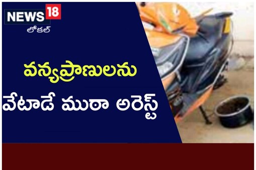 నాగర్ కర్నూల్ జిల్లాలో వన్యప్రాణి వేటగాళ్ల అరెస్ట్
