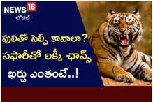 Telangana News: పులితో సెల్ఫీ కావాలా..? సఫారీతో లక్కీ ఛాన్స్.. ఖర్చు ఎంతంటే..!