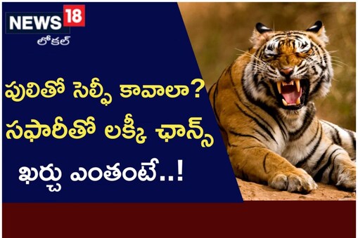 అమ్రాబాద్ టైగర్ రిజర్వ్ లో జంగిల్ సఫారీ